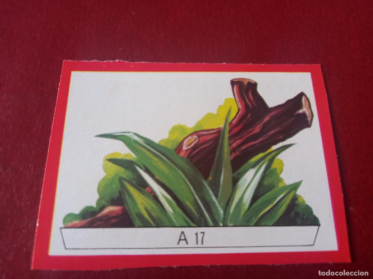 Coleccionismo Cromos antiguos: Cromo A17 recortable para album Panorama Zoologico - ruiz romero