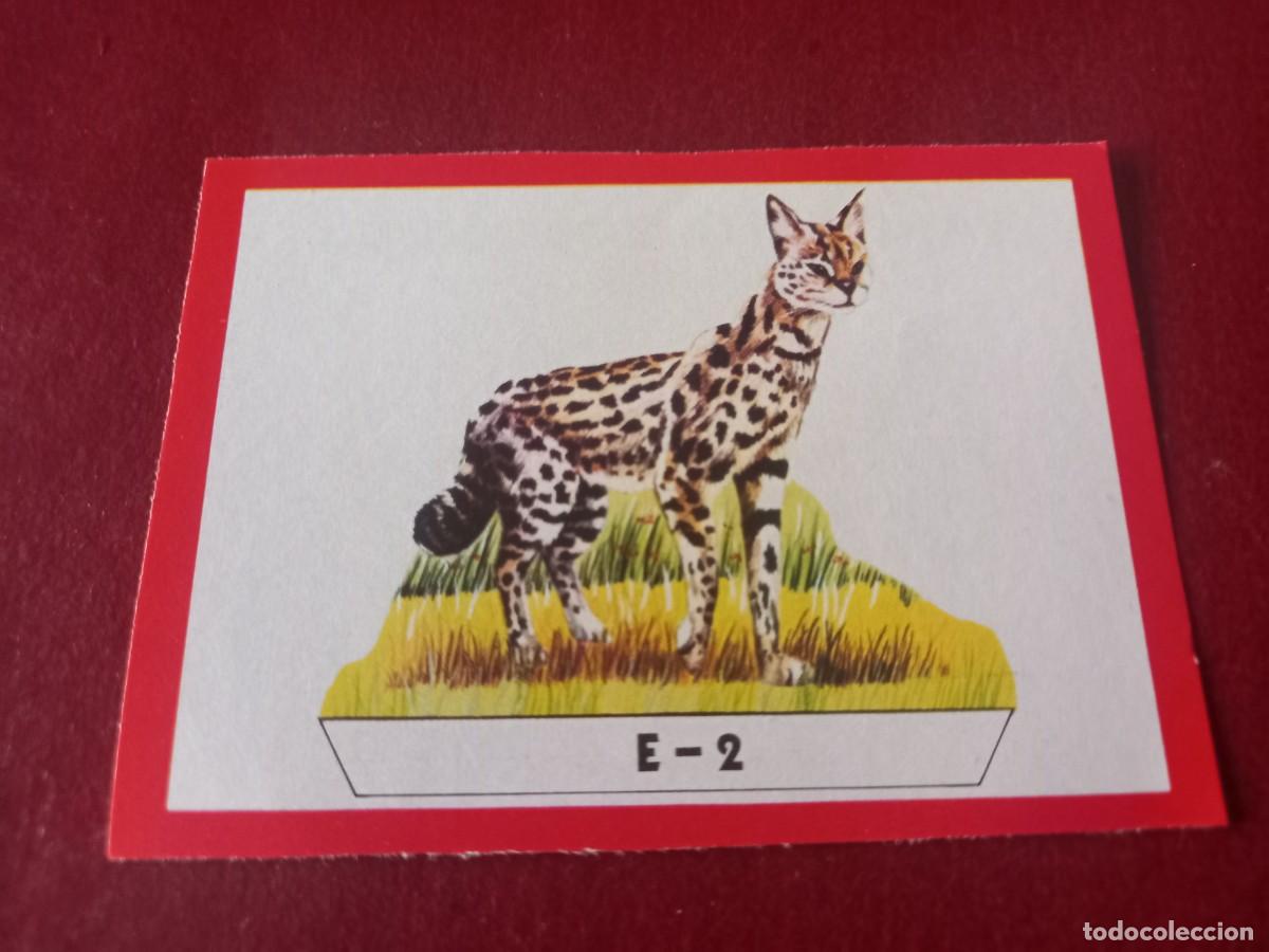 Coleccionismo Cromos antiguos: Cromo E2 recortable para album Panorama Zoologico - ruiz romero