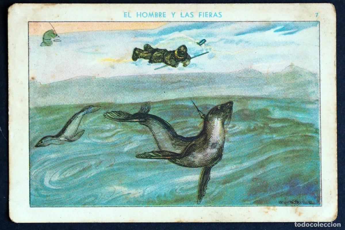 Coleccionismo Cromos antiguos: ANTIGUO CROMO: EL HOMBRE Y LAS FIERAS. CAZA DE LAS FOCAS. N&ordm; VII. CHOCOLATES EDUARDO P&Iacute;