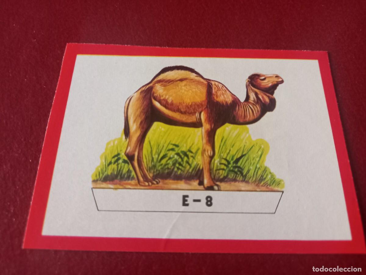 Coleccionismo Cromos antiguos: Cromo E8 recortable para album Panorama Zoologico - ruiz romero