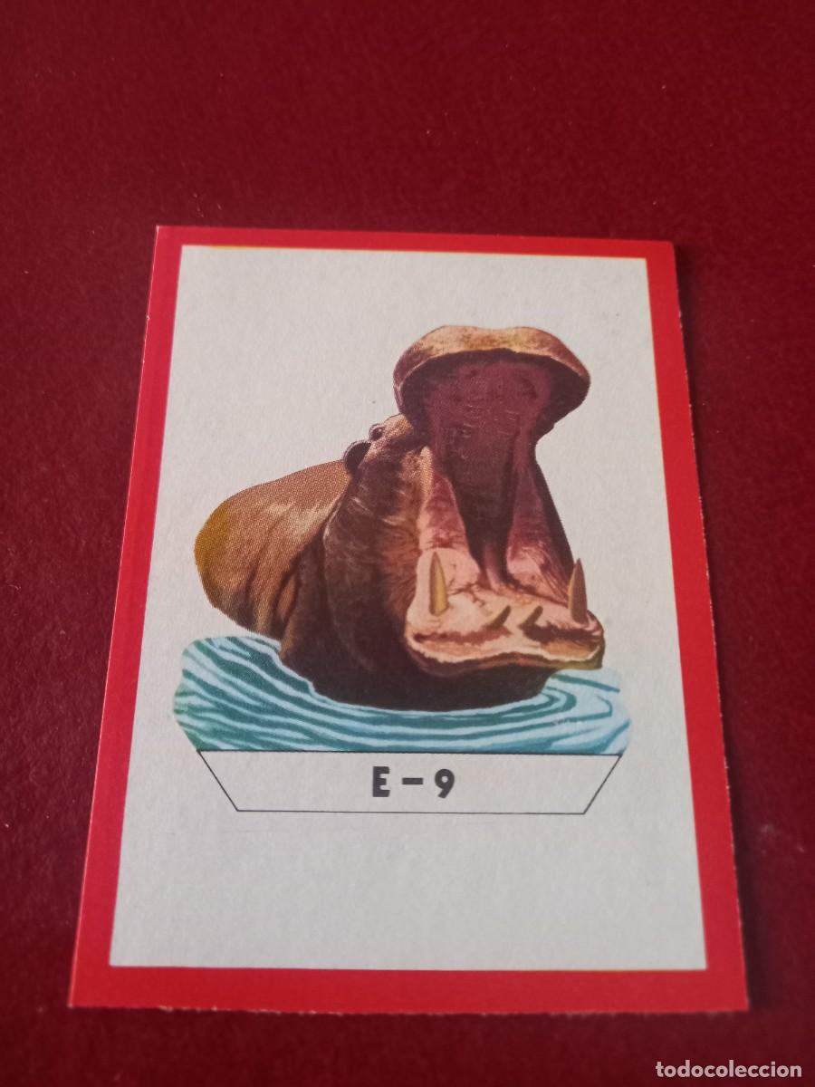 Coleccionismo Cromos antiguos: Cromo E9 recortable para album Panorama Zoologico - ruiz romero