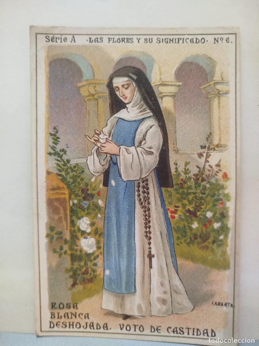 Coleccionismo Cromos antiguos: Cromo Las flores y su significado, n&uacute;m. 6, Chocolates Condal