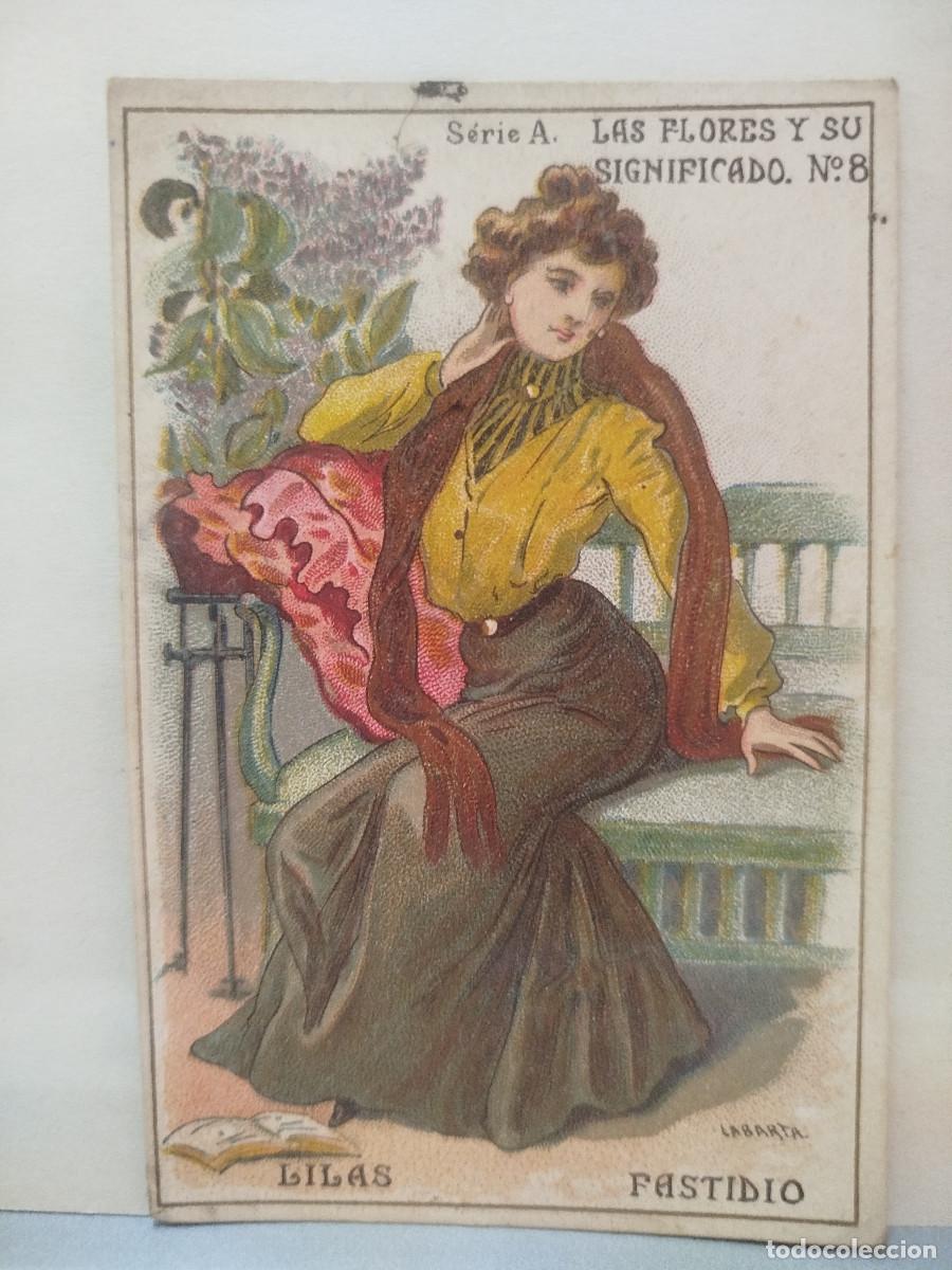 Coleccionismo Cromos antiguos: Cromo Las flores y su significado, n&uacute;m. 8, Chocolates Condal