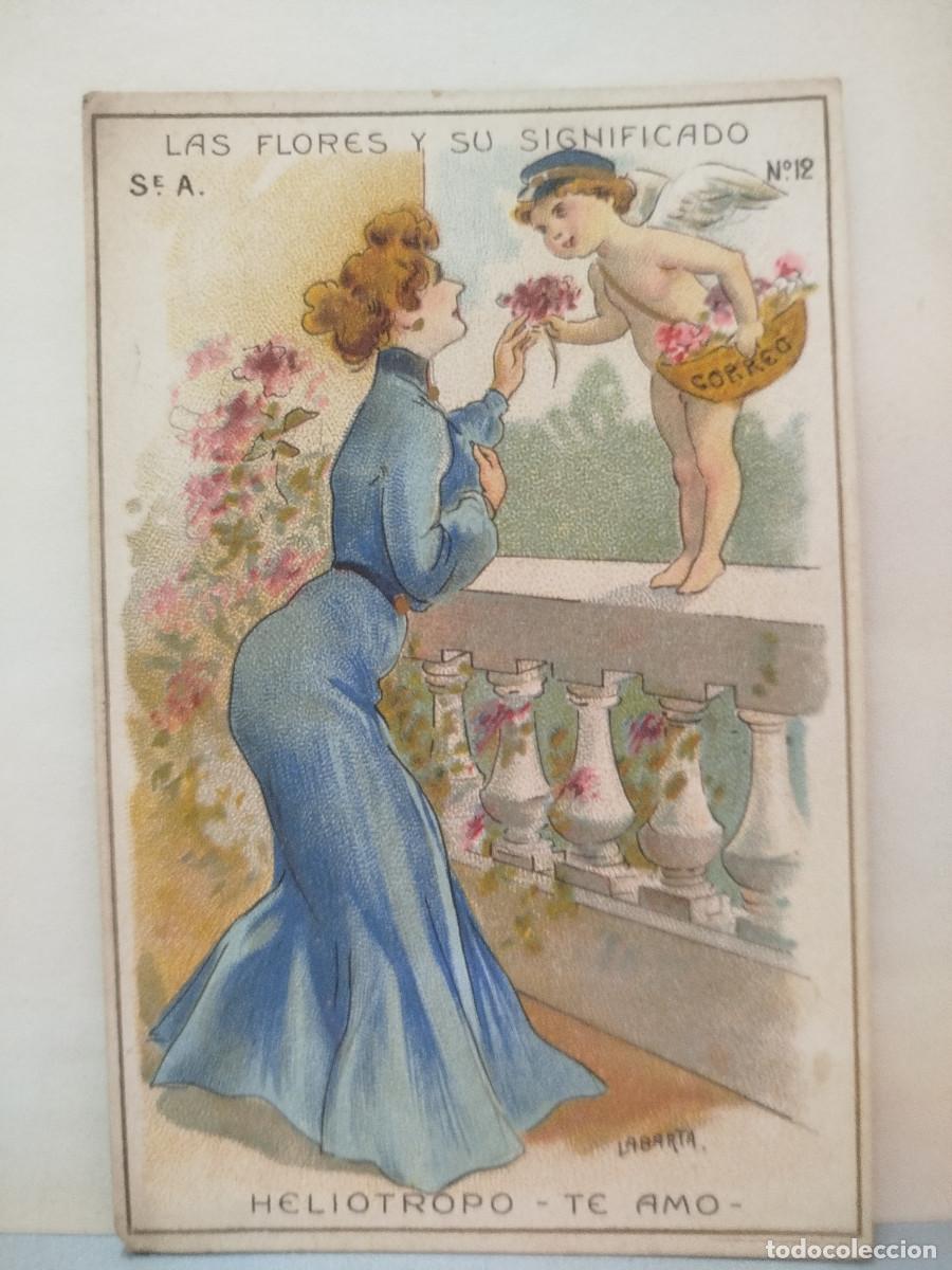Coleccionismo Cromos antiguos: Cromo Las flores y su significado, n&uacute;m. 12, Chocolates Condal