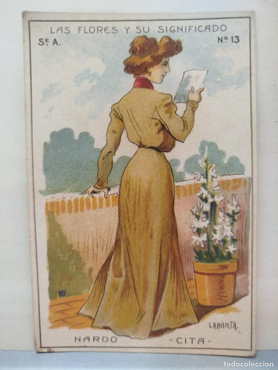 Coleccionismo Cromos antiguos: Cromo Las flores y su significado, n&uacute;m. 13, Chocolates Condal