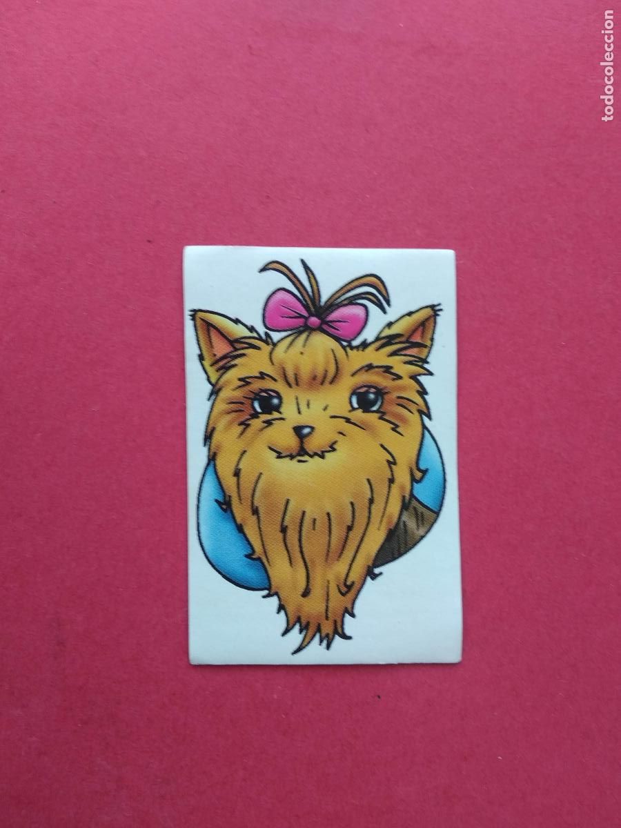 Coleccionismo Cromos antiguos: CROMO BOLLYCAO NUNCA PEGADO AMIGOS Y COLEGAS , N&ordm; 22 YORKSHIRE TERRIER