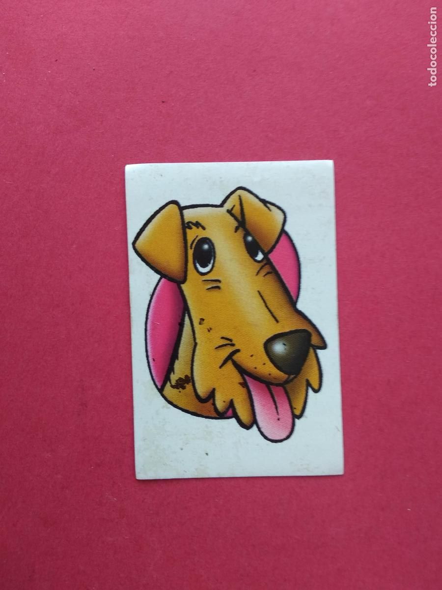 Coleccionismo Cromos antiguos: CROMO BOLLYCAO NUNCA PEGADO AMIGOS Y COLEGAS , N&ordm; 28 FOX TERRIER