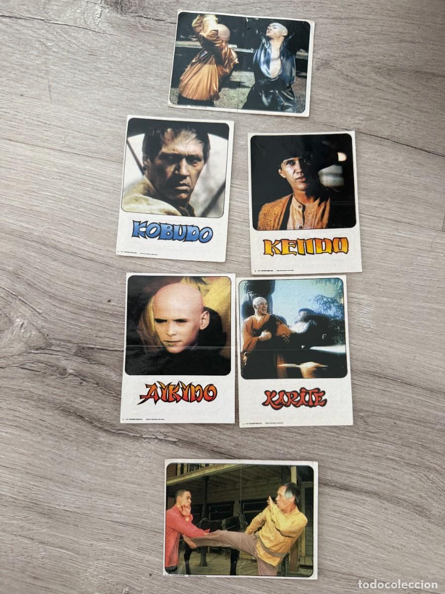 Coleccionismo Cromos antiguos: 6 cromos Karate Kid de Panrico - Artes Marciales