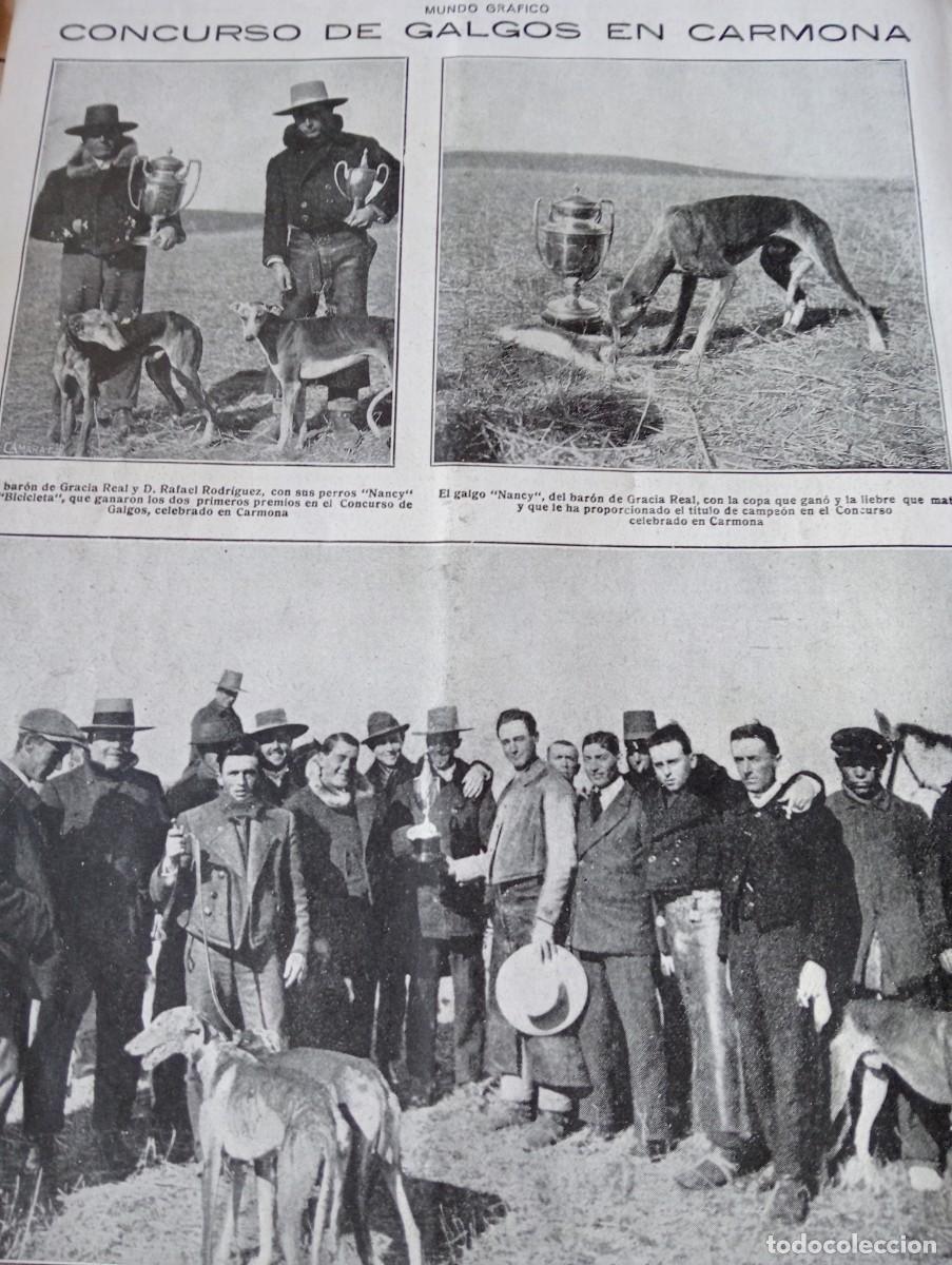 Coleccionismo Cromos antiguos: REVISTA ENTERA A&Ntilde;O 1921 GALGOS EN CARMONA JOAN AMAT VICTOR MACHO JUAN DE LA CIERVA CARRERA PEDESTRE