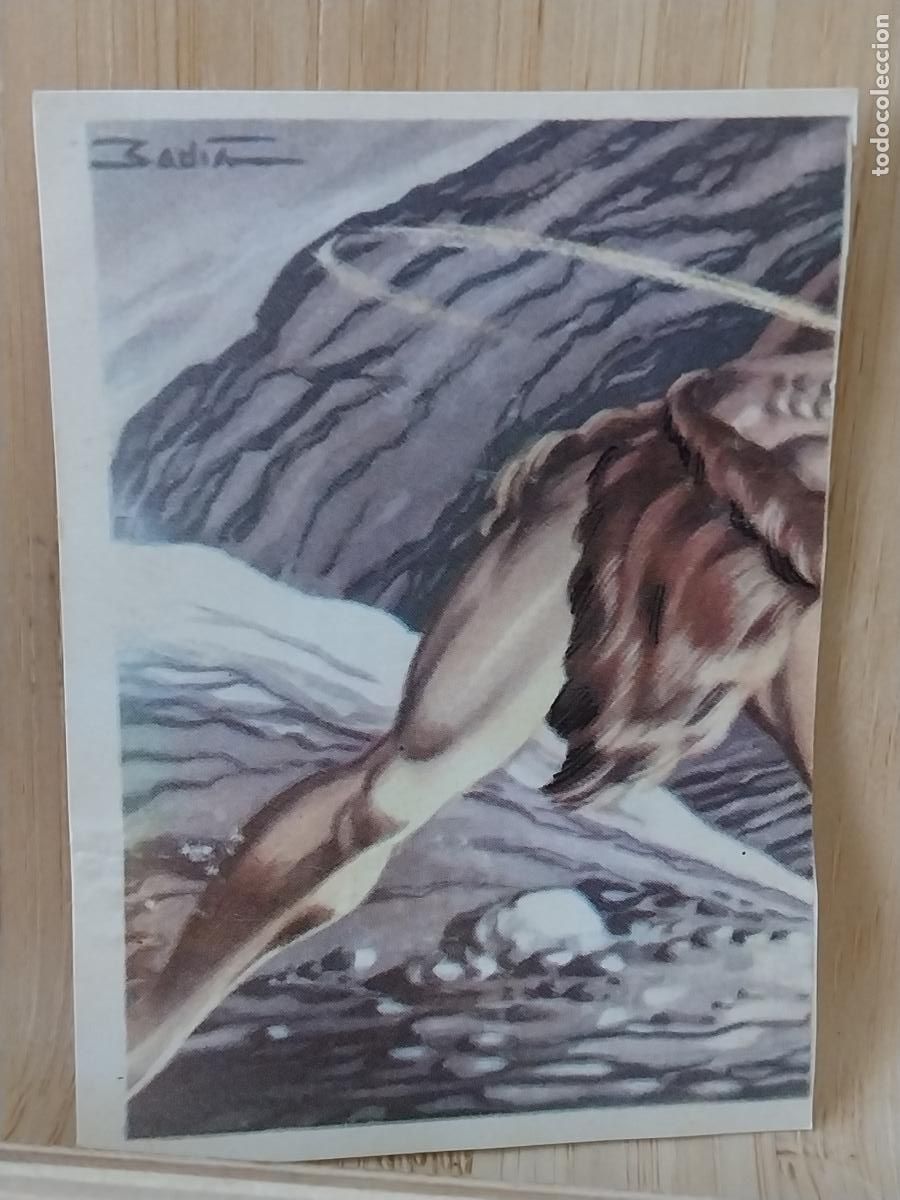 Coleccionismo Cromos antiguos: CICLOPE HUESO ATECA HEROES LEGENDARIOS CROMO 6 RECUPERADO NUNCA ORIGINAL ILUSTRACION BADIA