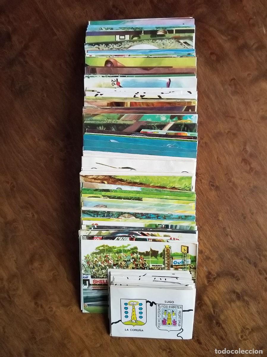 Coleccionismo Cromos antiguos: Gran lote 238 cromos distintos &aacute;lbum TODO de Bruguera (despegados, buen estado)