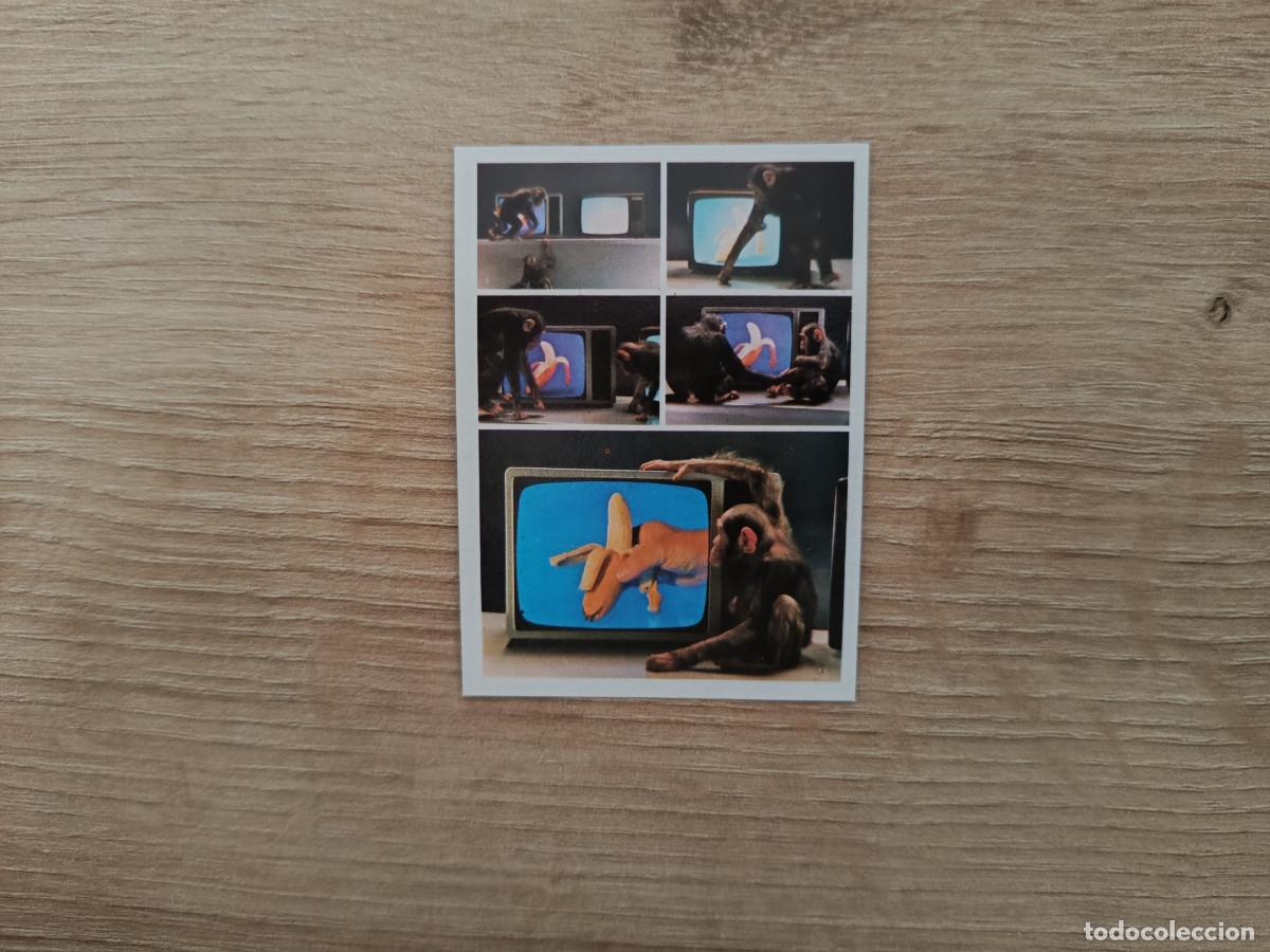Coleccionismo Cromos antiguos: CROMO TELE ANUNCIOS EDICIONES ESTE 104 SANYO MONOS SIN PEGAR NUNCA PEGADO D626