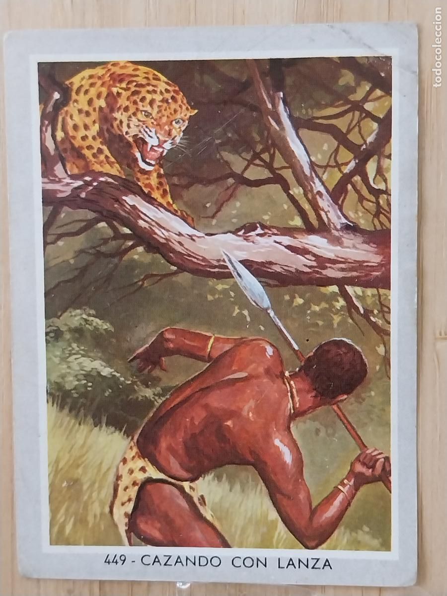 Coleccionismo Cromos antiguos: CAZANDO CON LANZAS * VIDA COLOR 2 CROMO 449 SIN PEGAR NUNCA 6X8.5CMS