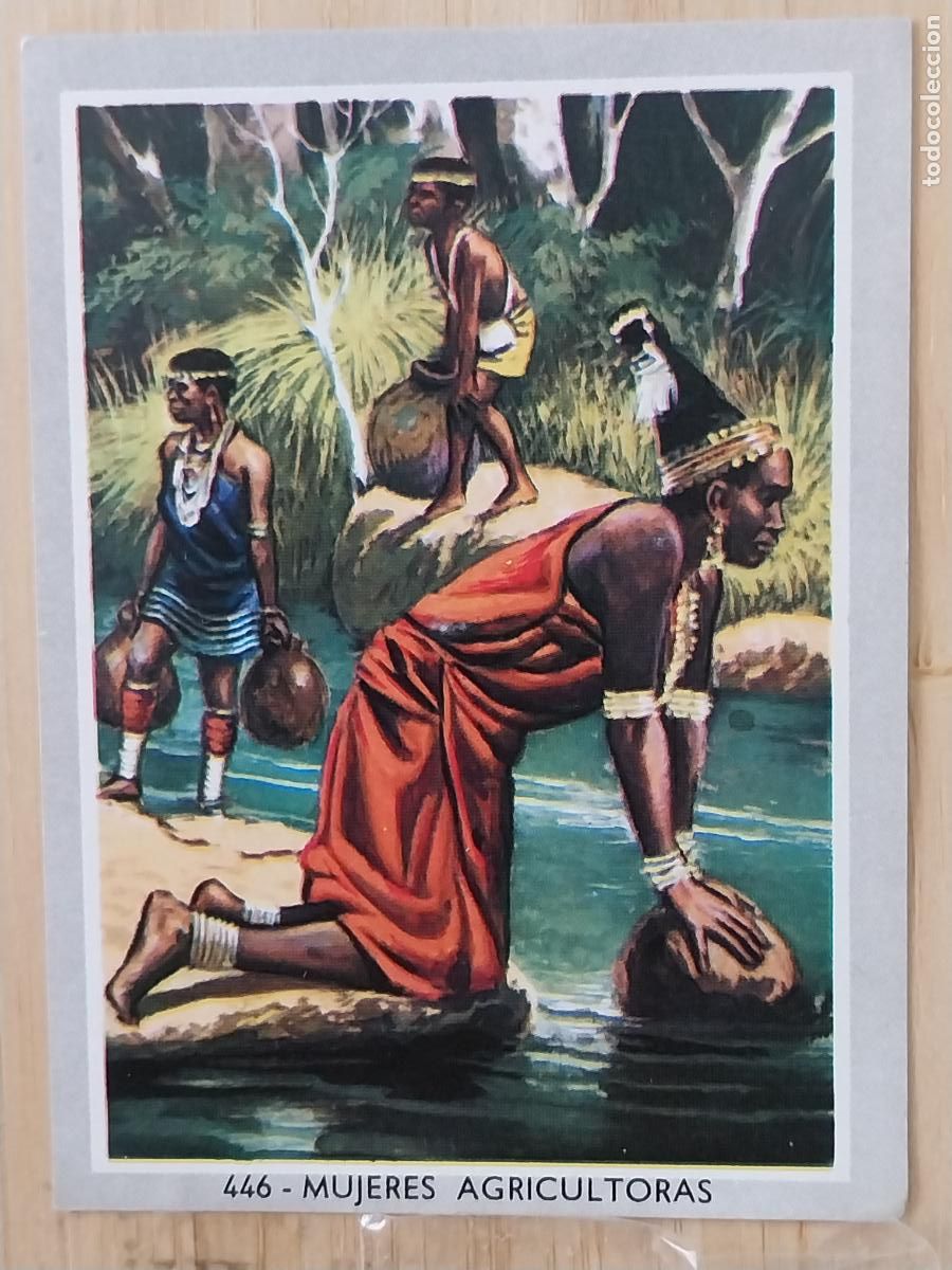 Coleccionismo Cromos antiguos: MUJERES AGRICOLAS * VIDA COLOR 2 CROMO 446 SIN PEGAR NUNCA 6X8.5CMS