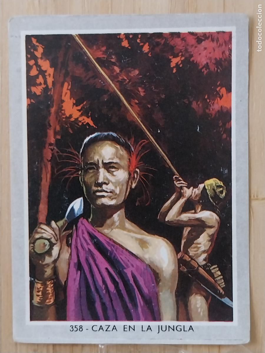 Coleccionismo Cromos antiguos: CAZA EN LA JUNGLA VIDA COLOR 2 CROMO 358 SIN PEGAR NUNCA 6X8.5CMS