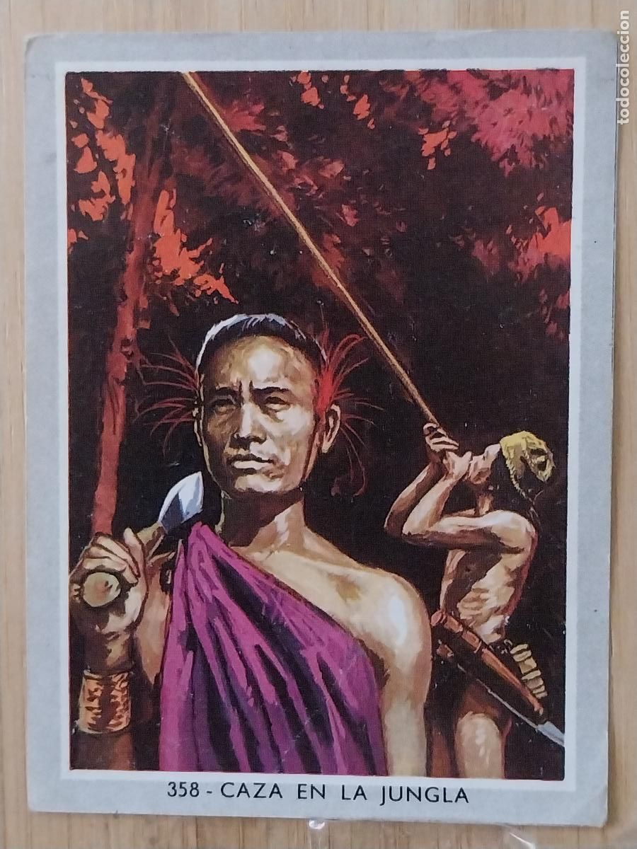 Coleccionismo Cromos antiguos: CAZA EN LA JUNGLA * VIDA COLOR 2 CROMO 358 SIN PEGAR NUNCA 6X8.5CMS