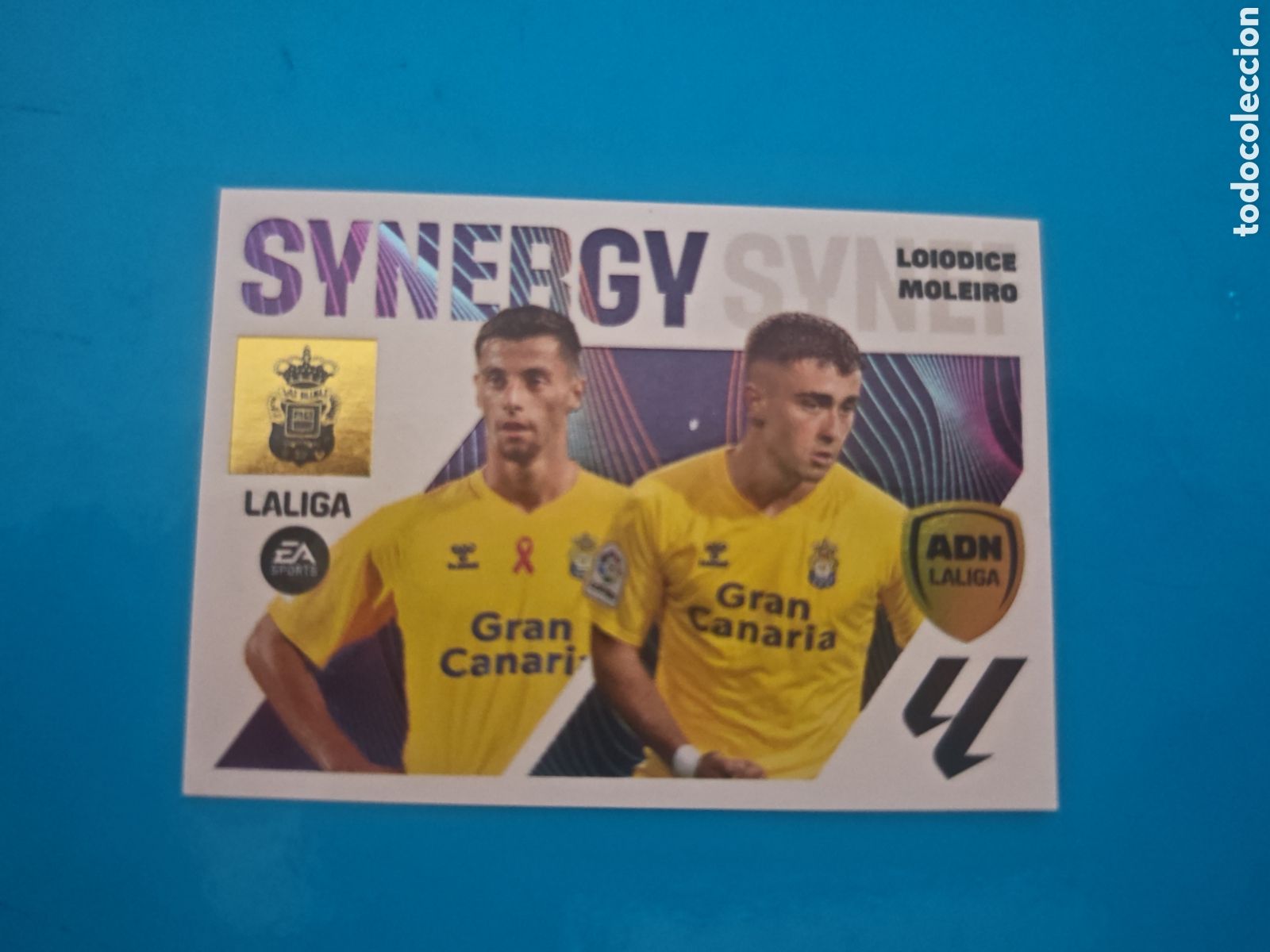 Coleccionismo Cromos antiguos: Synergy 10 Liga Este 23-24 UD Las Palmas