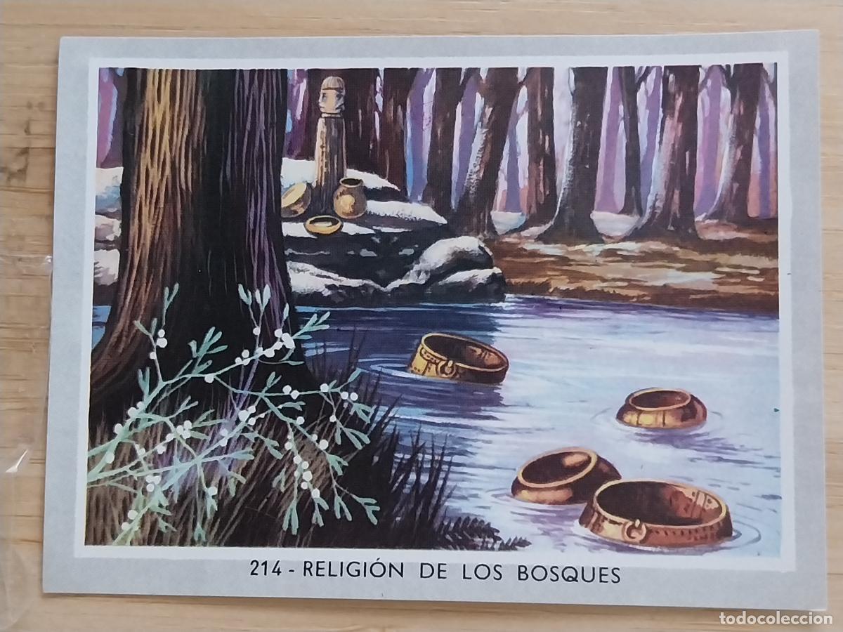 Coleccionismo Cromos antiguos: RELIGION DE LOS BOSQUES * VIDA COLOR 2 CROMO 214 * SIN PEGAR NUNCA 6X8.5CMS