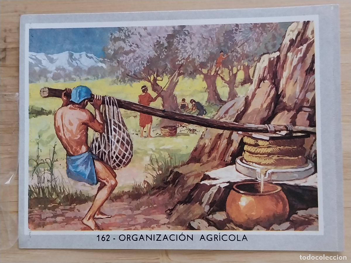 Coleccionismo Cromos antiguos: AGRICOLA ORGANIZACION * VIDA COLOR 2 CROMO 162 * SIN PEGAR NUNCA 6X8.5CMS