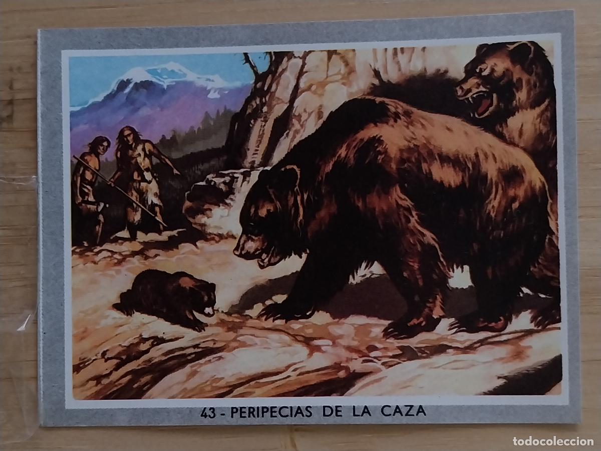 Coleccionismo Cromos antiguos: CAZA COLOR 2 1969 CROMO 43 ORIGINAL 2 8.5X6CMS