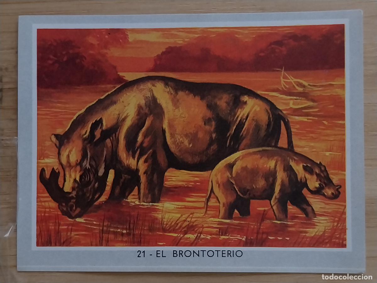 Coleccionismo Cromos antiguos: BRONTOTERIO * COLOR 2 1969 CROMO 21 ORIGINAL 2 8.5X6CMS