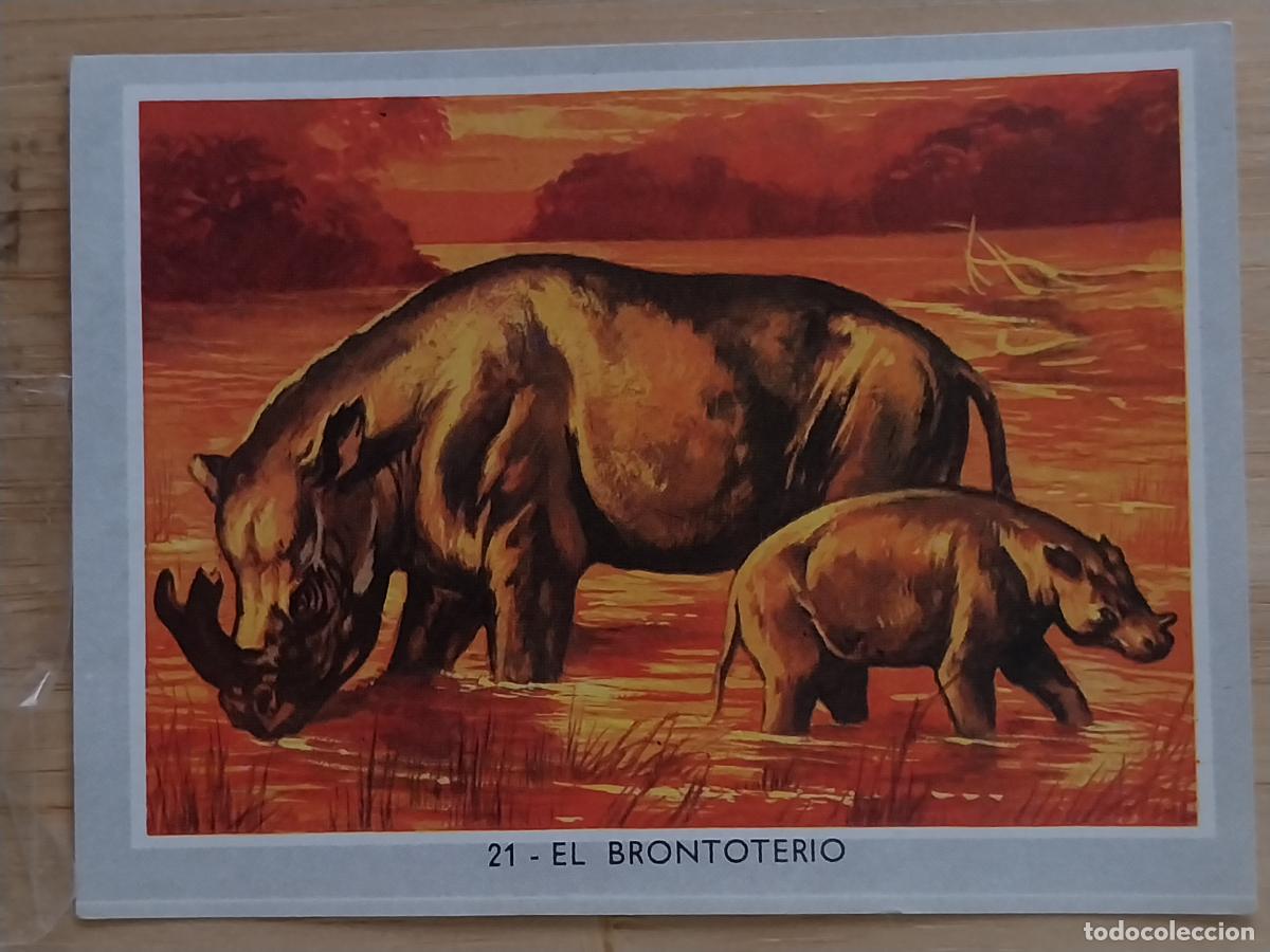 Coleccionismo Cromos antiguos: BRONTOTERIO COLOR 2 1969 CROMO 21 ORIGINAL 2 8.5X6CMS