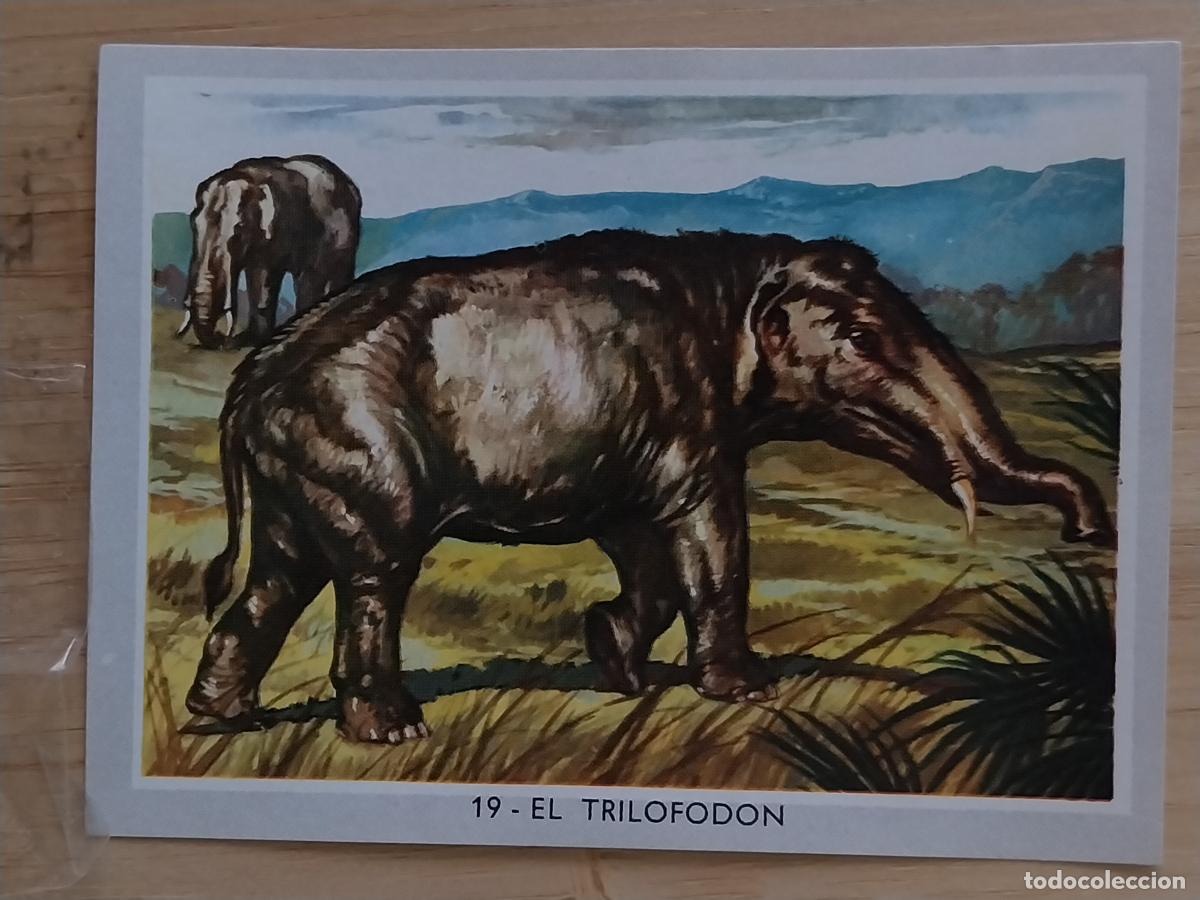 Coleccionismo Cromos antiguos: TRILOFODON COLOR 2 1969 CROMO 19 ORIGINAL 2 8.5X6CMS