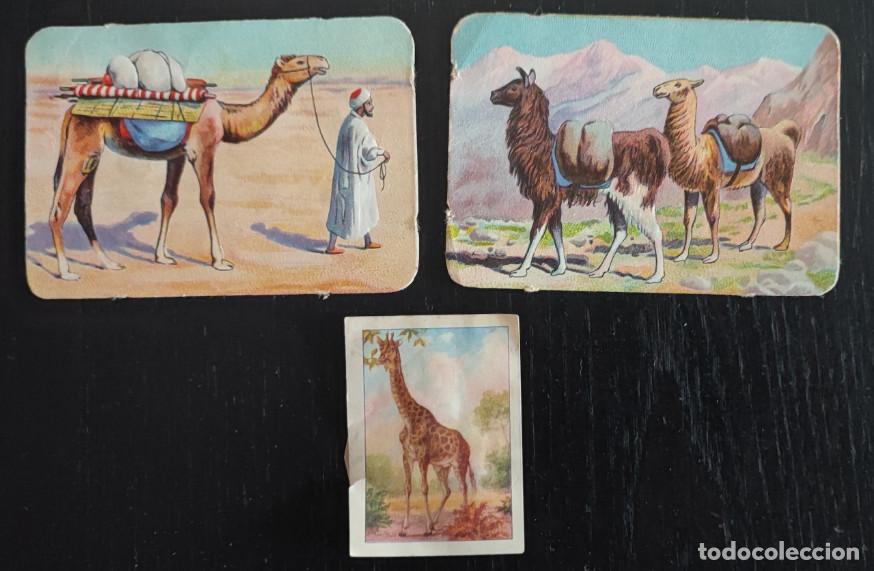 Coleccionismo Cromos antiguos: LOTE DE 4 CROMOS ANTIGUOS, CEREGUMIL, 2 TROQUELADOS