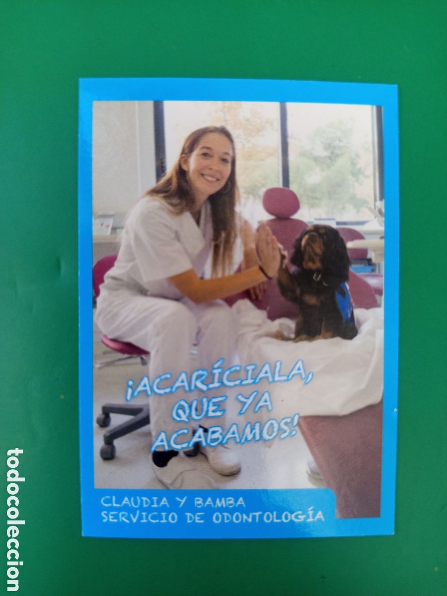 Coleccionismo Cromos antiguos: ❇️ CROMO STICKER CLAUDIA Y BAMBA - AMICI CUCCIOLOTTI ANIMALITOS PANINI &Aacute;LBUM 2015 SIN PEGAR ❇️