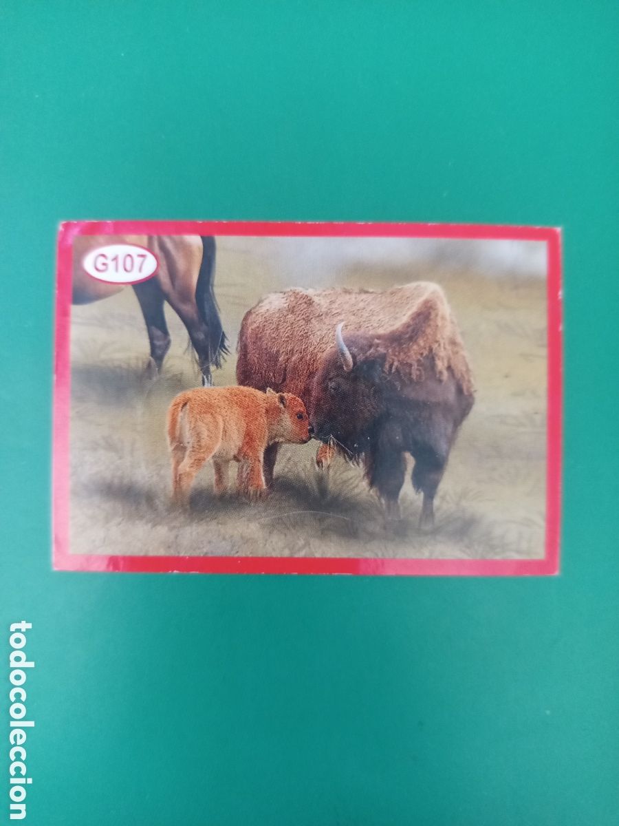 Coleccionismo Cromos antiguos: ❇️ CROMO BISONTE AMERICANO G107 - AMICI CUCCIOLOTTI ANIMALITOS PANINI &Aacute;LBUM 2015 SIN PEGAR ❇️