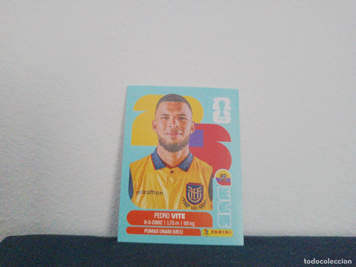 Sammeln alte Sammelbilder: ECU 12 PEDRO VITE BASE ECUADOR CROMO MUNDIAL STICKERS 2026 26