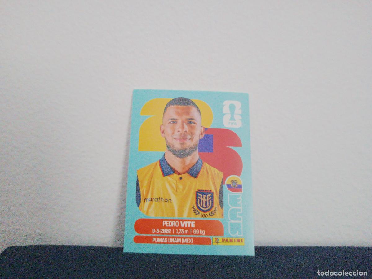 Sammeln alte Sammelbilder: ECU 12 PEDRO VITE BASE ECUADOR CROMO MUNDIAL STICKERS 2026 26