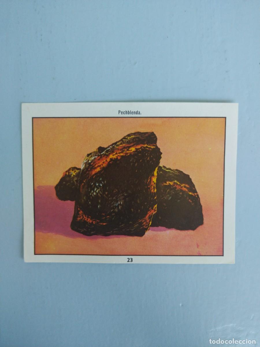 Coleccionismo Cromos antiguos: CROMO N&deg; 23 DEL ALBUM CIENCIAS NATURALES. EASO DE 1982