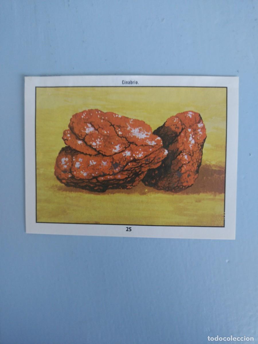 Coleccionismo Cromos antiguos: CROMO N&deg; 25 DEL ALBUM CIENCIAS NATURALES. EASO DE 1982