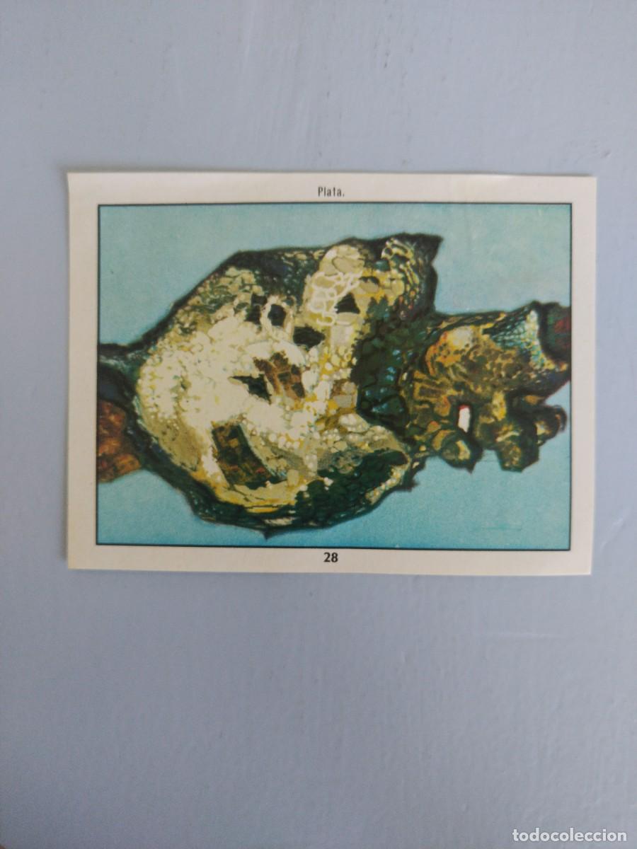 Coleccionismo Cromos antiguos: CROMO N&deg; 28 DEL ALBUM CIENCIAS NATURALES. EASO DE 1982
