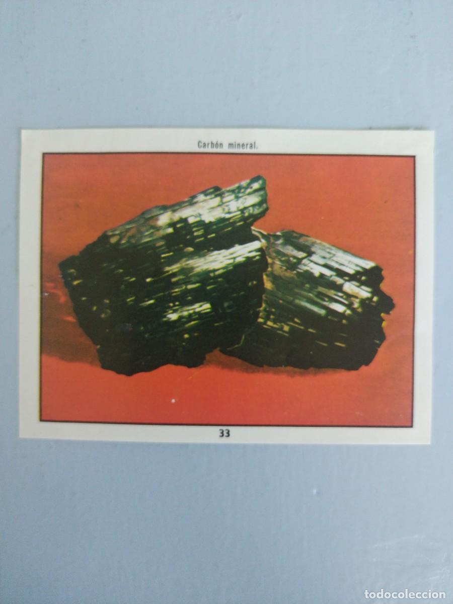 Coleccionismo Cromos antiguos: CROMO N&deg; 33 DEL ALBUM CIENCIAS NATURALES. EASO DE 1982