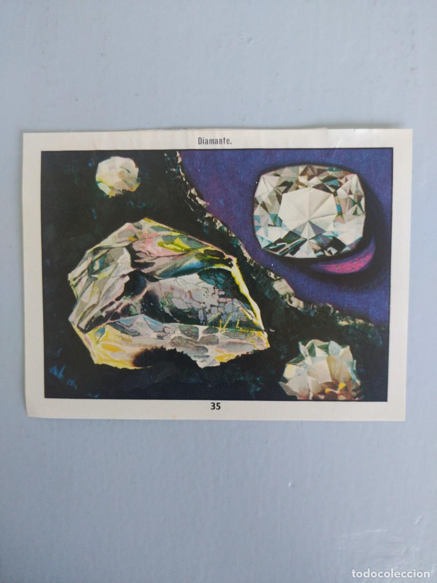 Coleccionismo Cromos antiguos: CROMO N&deg; 35 DEL ALBUM CIENCIAS NATURALES. EASO DE 1982