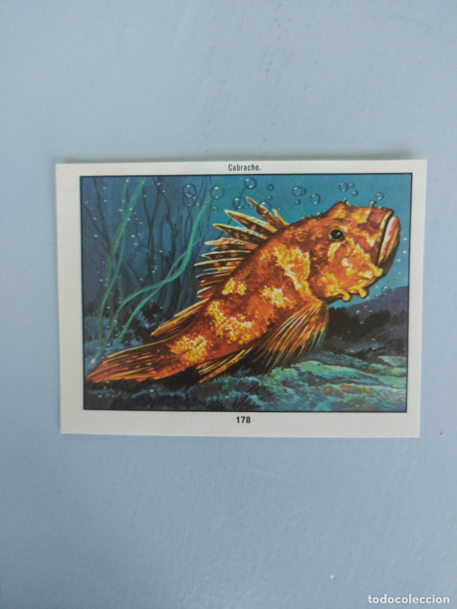 Coleccionismo Cromos antiguos: CROMO N&deg; 178 DEL ALBUM CIENCIAS NATURALES. EASO DE 1982