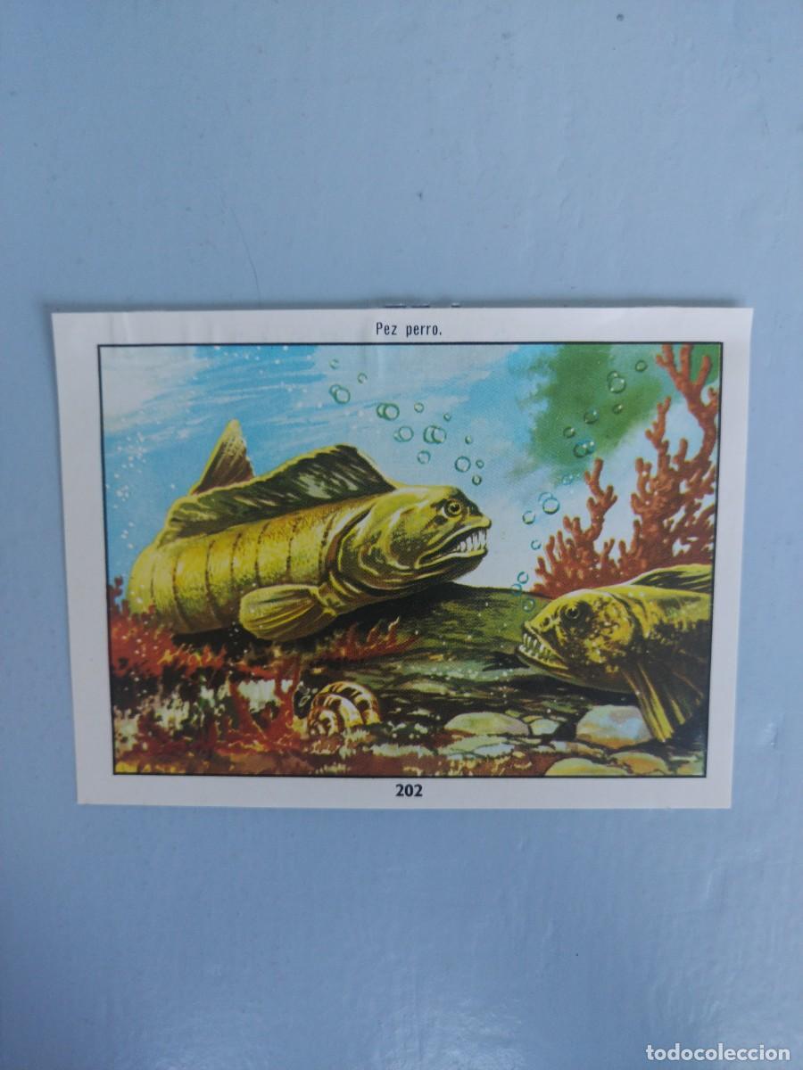 Coleccionismo Cromos antiguos: CROMO N&deg; 202 DEL ALBUM CIENCIAS NATURALES. EASO DE 1982