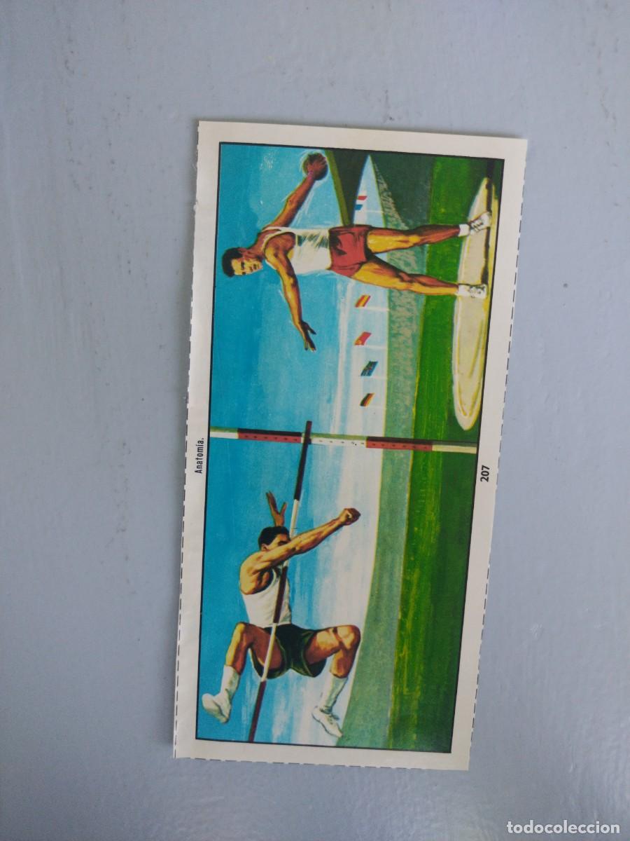 Coleccionismo Cromos antiguos: CROMO N&deg; 207 DEL ALBUM CIENCIAS NATURALES. EASO DE 1982