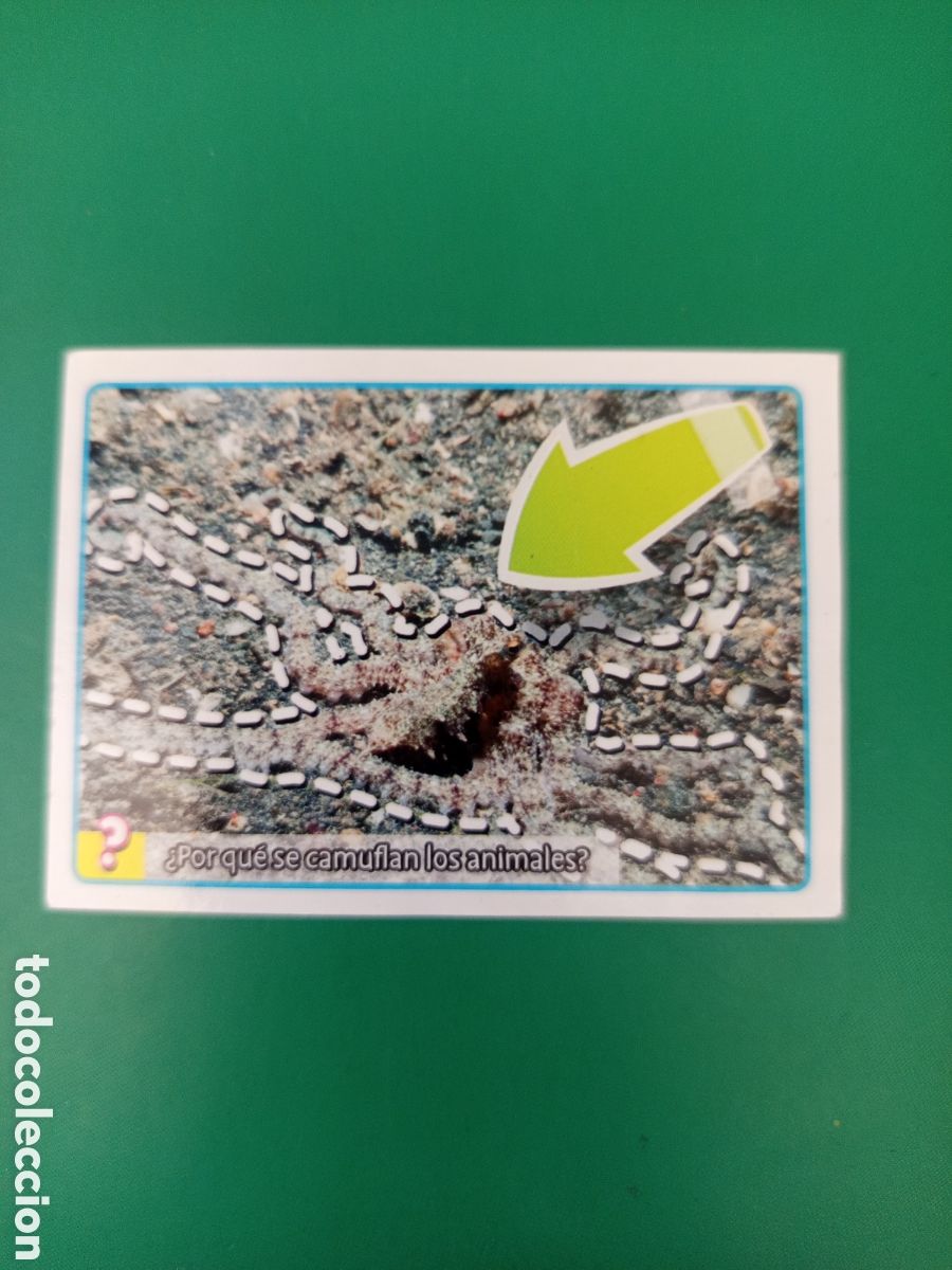 Collezionismo Figurine antiche: ❇️ CROMO STICKER 60 MUNDO EL GRAN ALBUM DEL POR QUE Y COMO 2015 PANINI SIN PEGAR ❇️