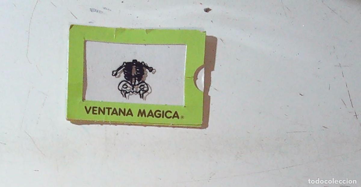 Collezionismo Figurine antiche: BOLLYCAO CROMO VENTANA MAGICA VERDE