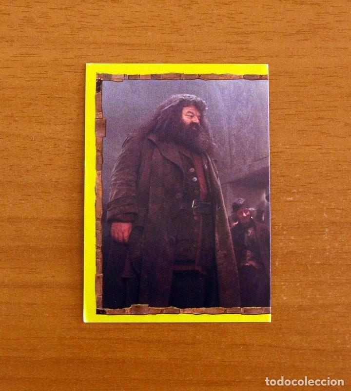 Coleccionismo Cromos antiguos: Harry Potter y La Piedra Filosofal - N&ordm; 29 - Ediciones Panini A&ntilde;o 2001 - Cromo Adhesivo Nunca Pegado