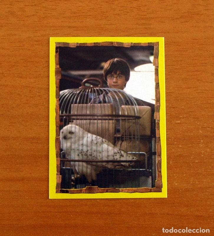 Coleccionismo Cromos antiguos: Harry Potter y La Piedra Filosofal - N&ordm; 51 - Ediciones Panini A&ntilde;o 2001 - Cromo Adhesivo Nunca Pegado
