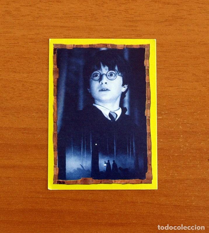 Coleccionismo Cromos antiguos: Harry Potter y La Piedra Filosofal - N&ordm; 152 -Ediciones Panini A&ntilde;o 2001 - Cromo Adhesivo Nunca Pegado