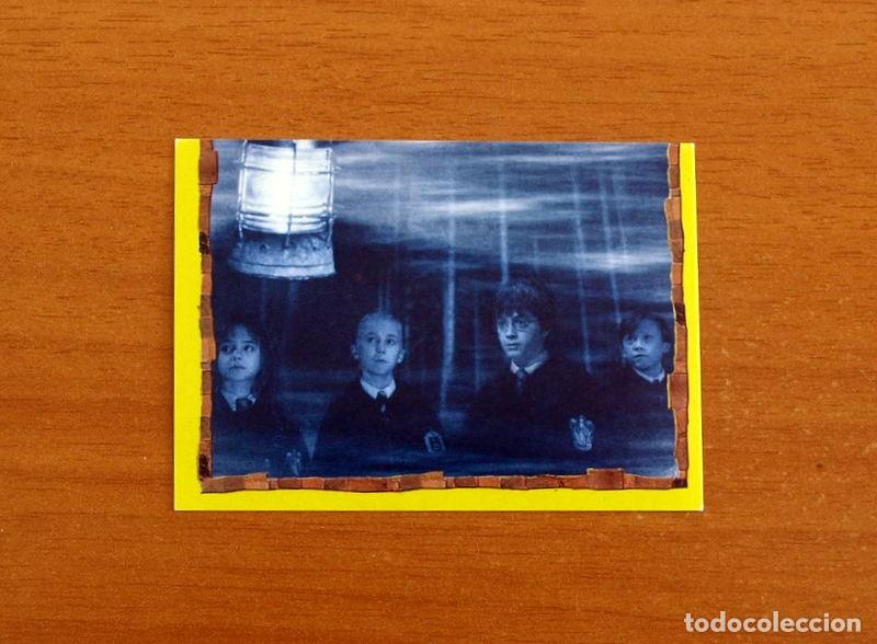 Coleccionismo Cromos antiguos: Harry Potter y La Piedra Filosofal - N&ordm; 155 -Ediciones Panini A&ntilde;o 2001 - Cromo Adhesivo Nunca Pegado
