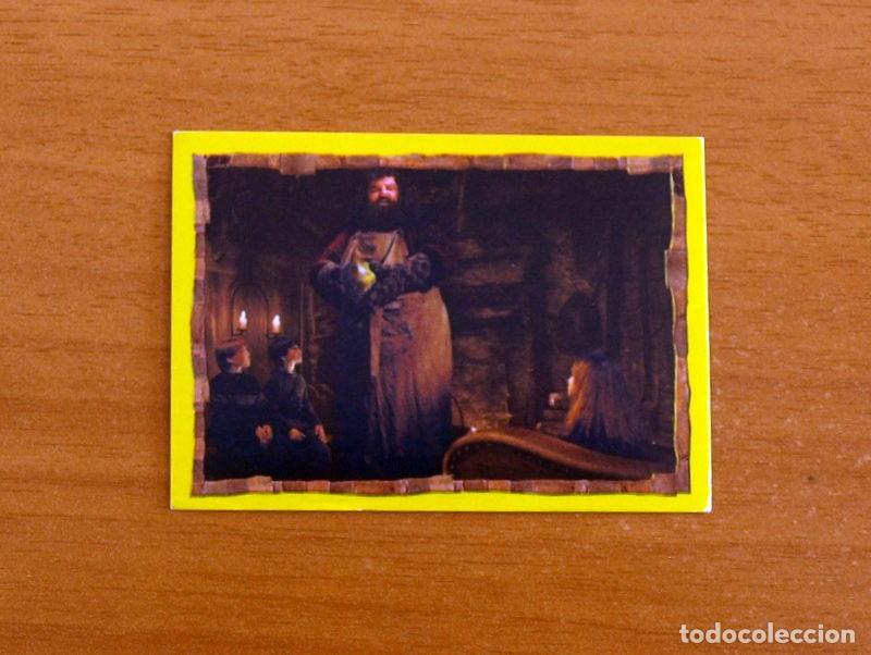 Coleccionismo Cromos antiguos: Harry Potter y La Piedra Filosofal - N&ordm; 169 -Ediciones Panini A&ntilde;o 2001 - Cromo Adhesivo Nunca Pegado