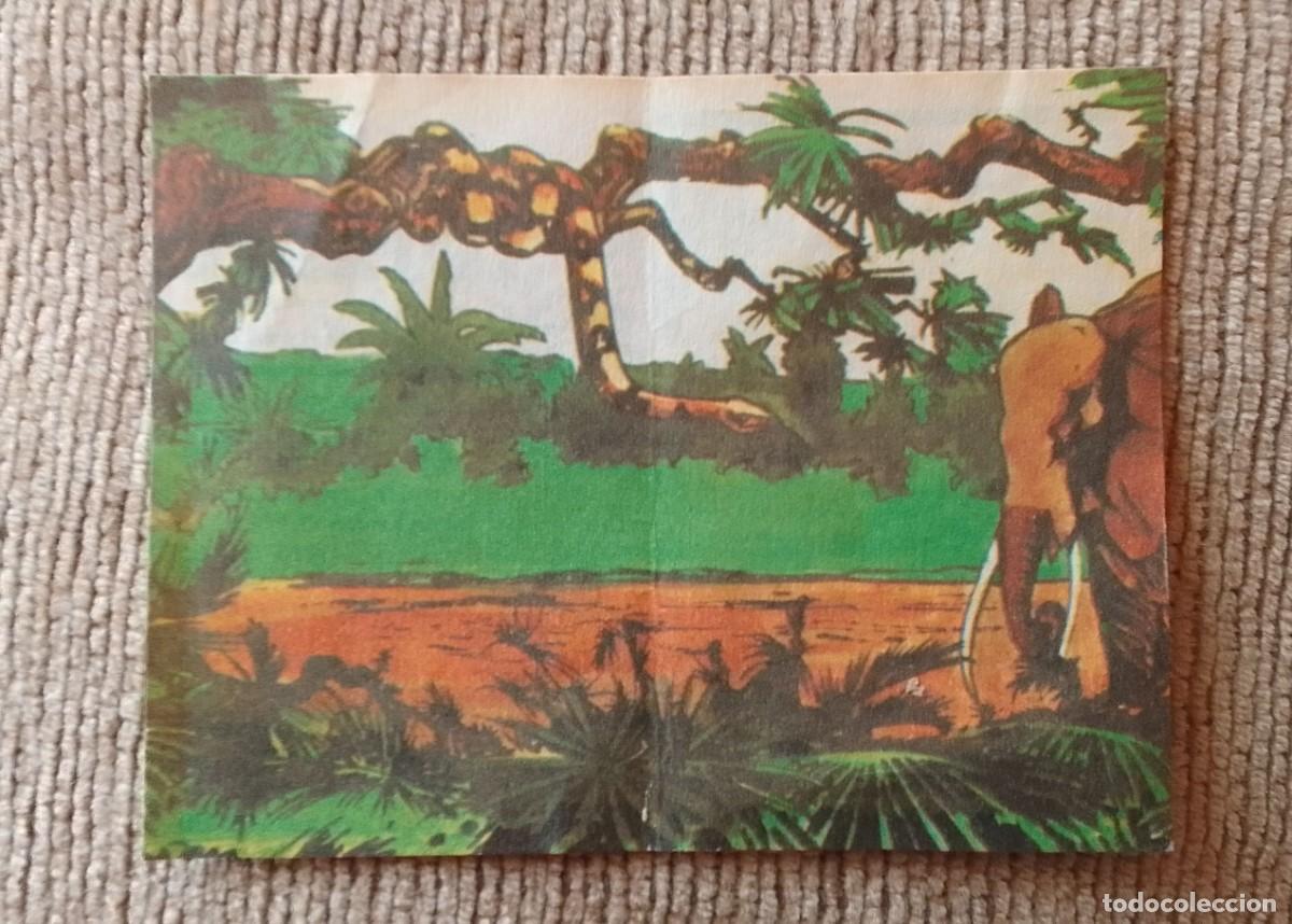 Coleccionismo Cromos antiguos: CROMO JUNGLORAMA. TARZAN. PANRICO.
