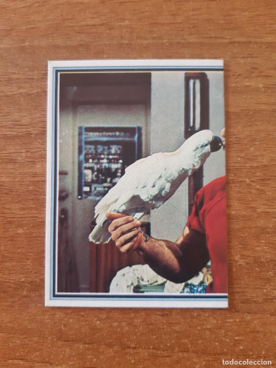 Coleccionismo Cromos antiguos: N&deg;35 BARETTA ROBERT BLAKE DOBLE 1/2 TELESTARS ED. ESTE 1978. NUNCA PEGADO, SIN PEGAR