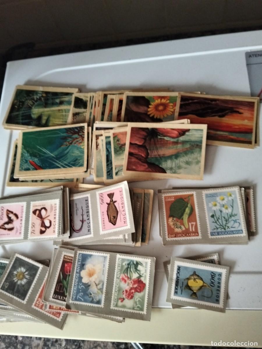 Sammeln alte Sammelbilder: Lote 148 cromos La Naturaleza y el Sello